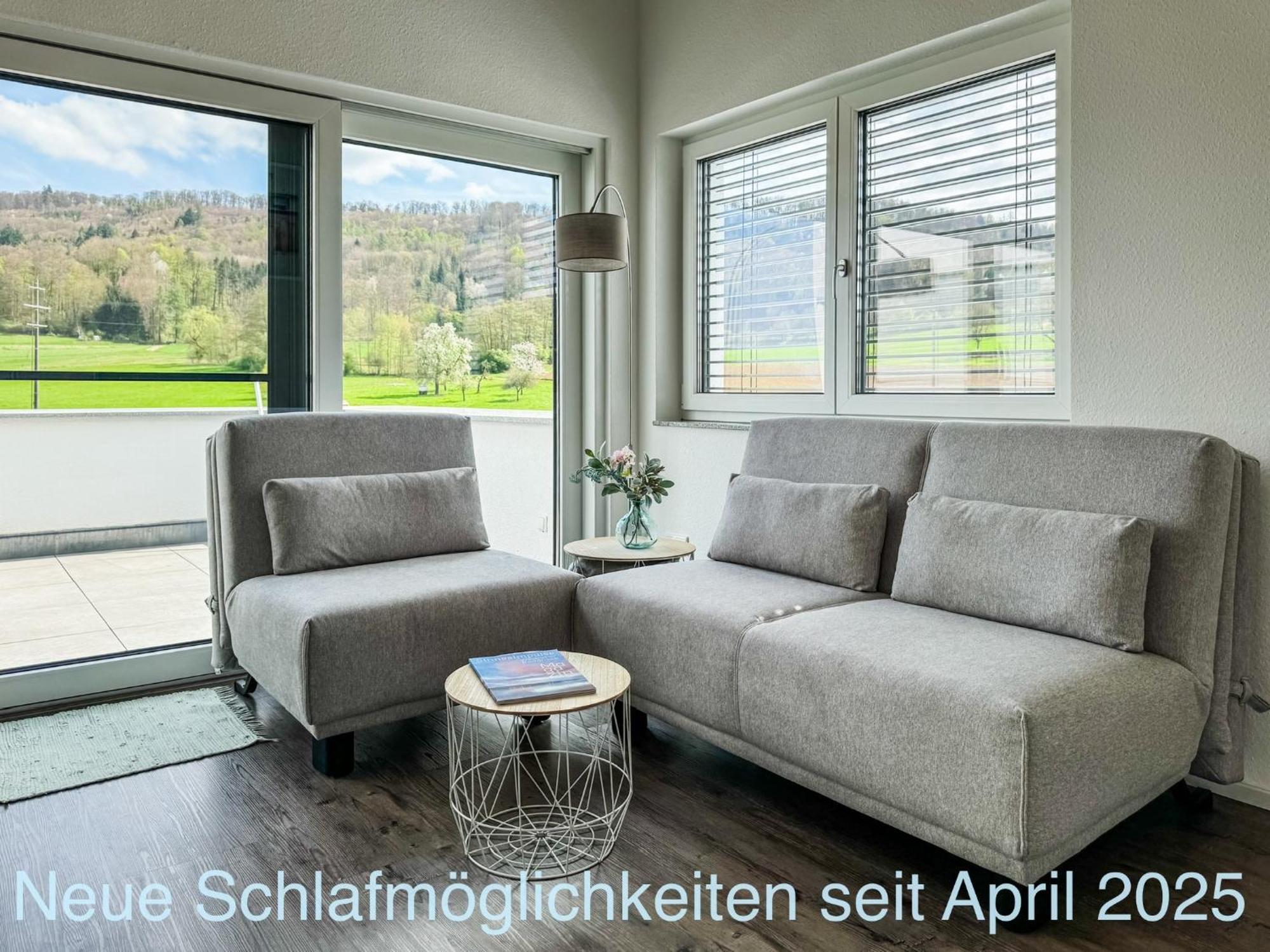 Wunderschoene Helle Wohnung Mit Grosser Dachterrasse Gottmadingen Eksteriør bilde